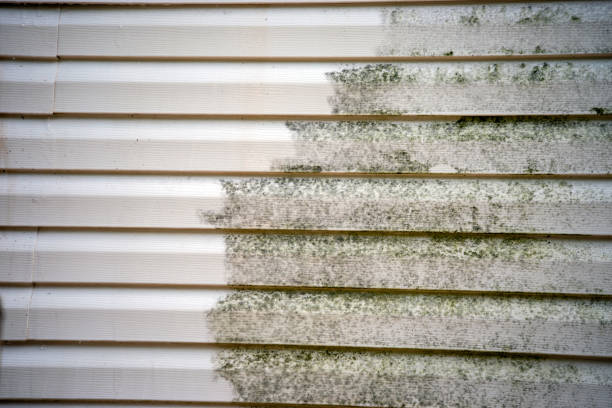 Custom Trim and Detailing for Siding in Oakboro, NC