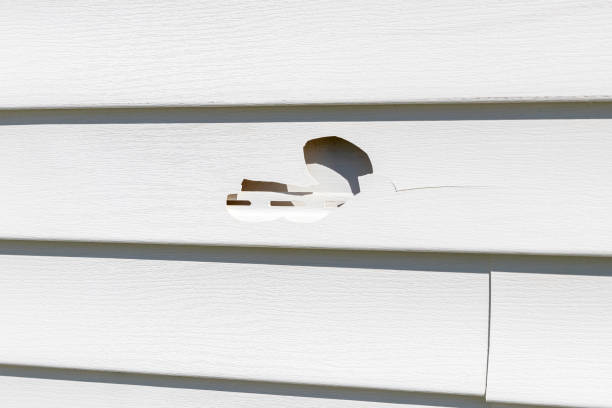 Best Engineered Wood Siding  in Oakboro, NC